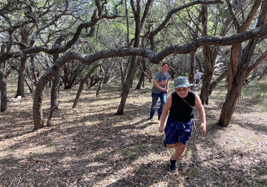 Searching for the secret cache